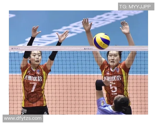 上海排球队转型之路的挑战与机遇全景分析