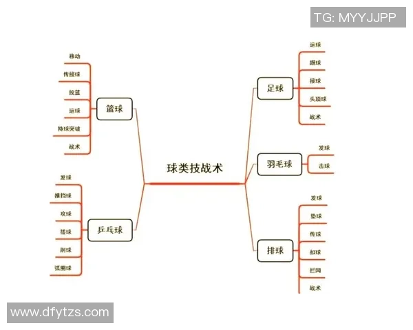 西安排球队节奏变革引热议排球战术新思路探讨与分析