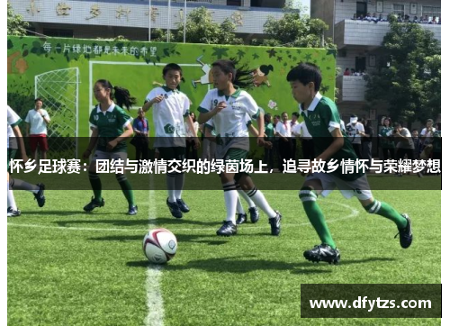 怀乡足球赛：团结与激情交织的绿茵场上，追寻故乡情怀与荣耀梦想
